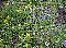 040808_064659.jpg